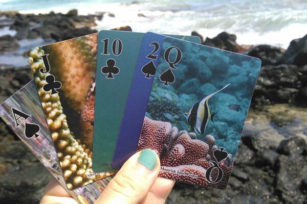 Scuba Tom playing cards